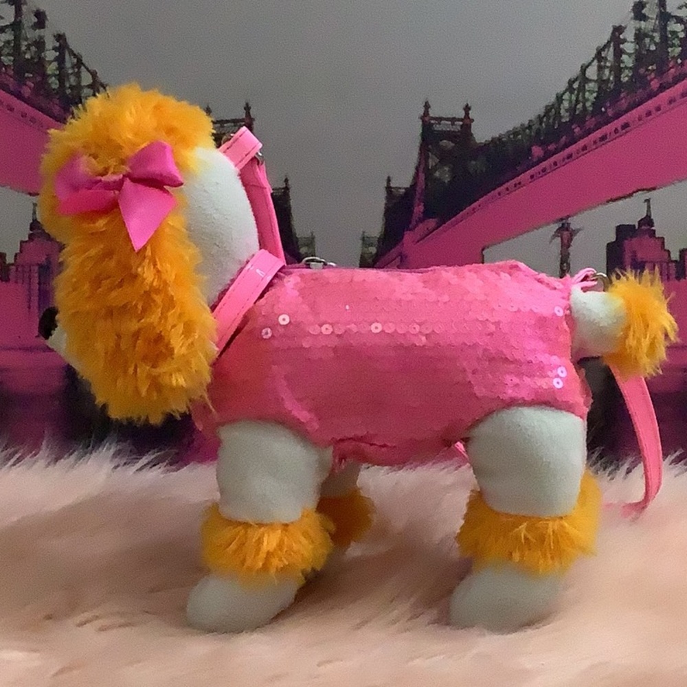 Poodle noodle 🐕 - Picture 3 of 10